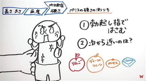 平均チン長|ペニスの平均は！？長さ･太さ･硬さの測定方法